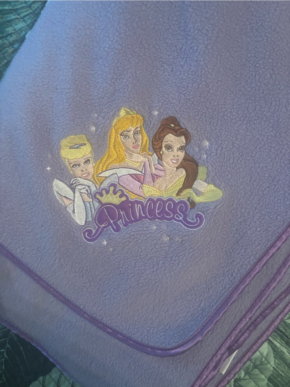 Disney  Princess purple Embroidered Fleece throw